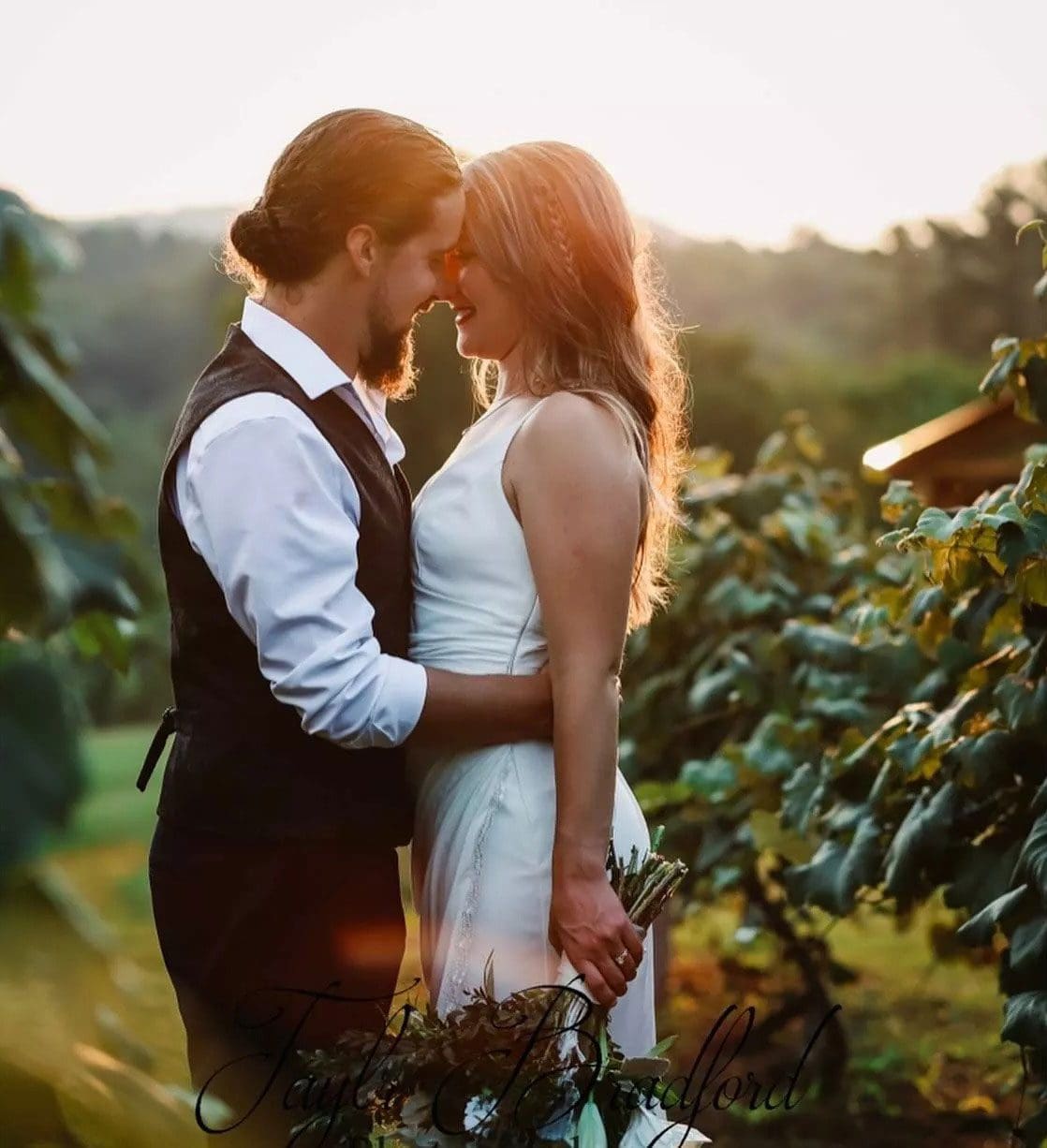 bride-and-groom–in-vineyard