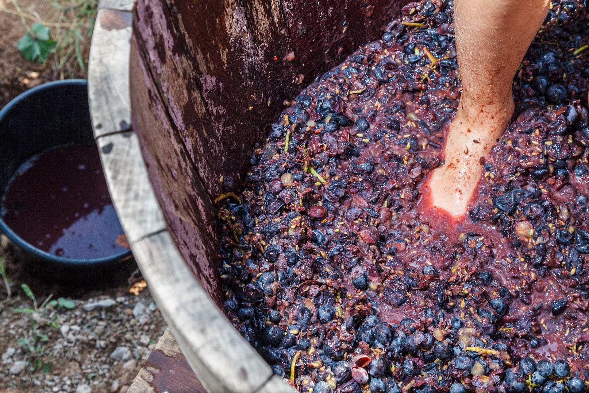 grape-stomp-GettyImages-517959281